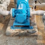 WhatsApp Image 2024-07-28 at 08.38.25