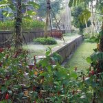 WhatsApp Image 2024-07-28 at 09.34.10