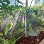 WhatsApp Image 2024-07-28 at 09.41.50